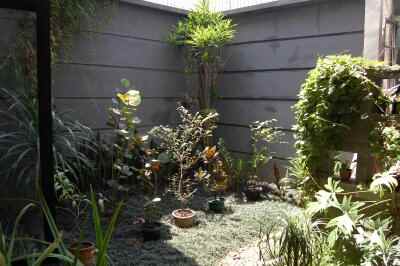 dijual rumah jalan pesantren