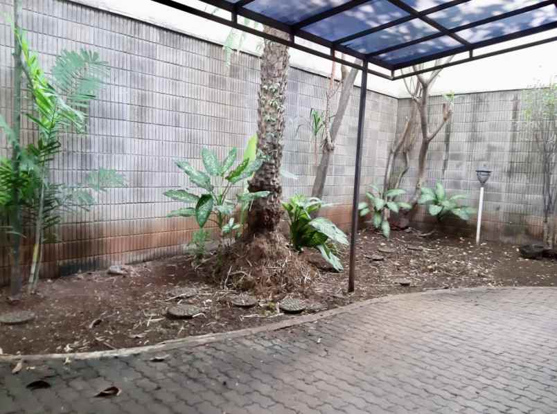 dijual rumah jalan tegal