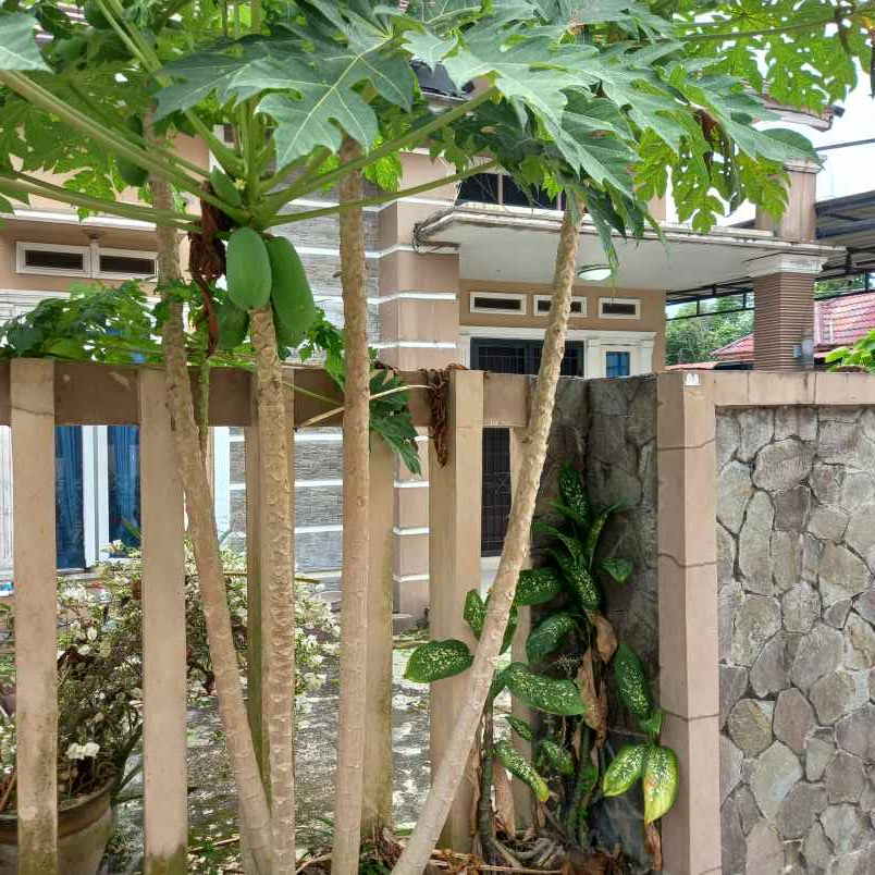 dijual rumah jl serasi delima simpang