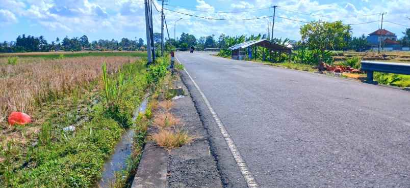 dijual tanah 300 m2 di penarungan mengwi badung bali