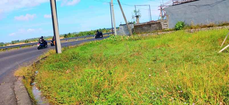 dijual tanah 300 m2 di penarungan mengwi badung bali