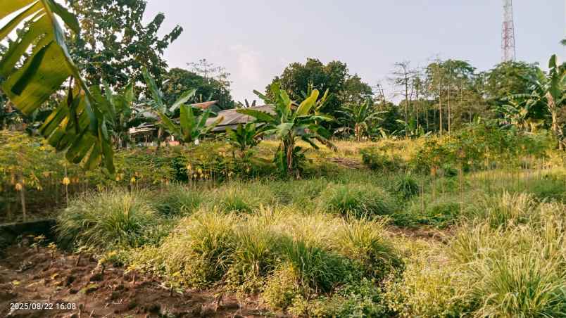 dijual tanah 3303 m2 setu bekasi