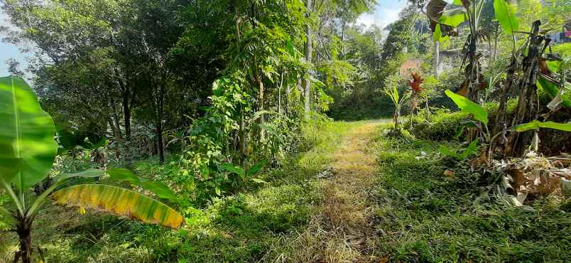 dijual tanah arcmanik