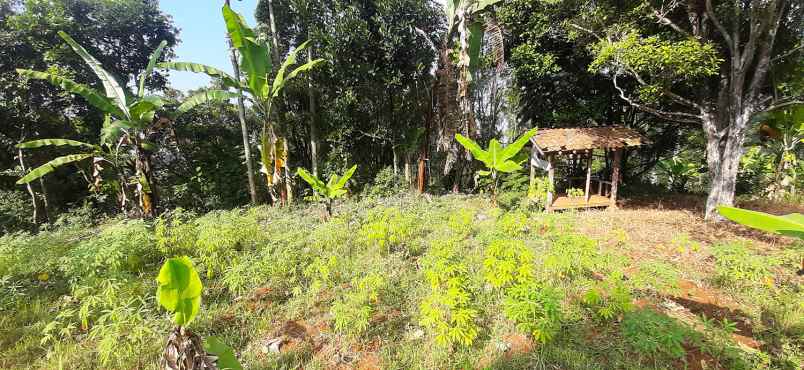 dijual tanah arcmanik