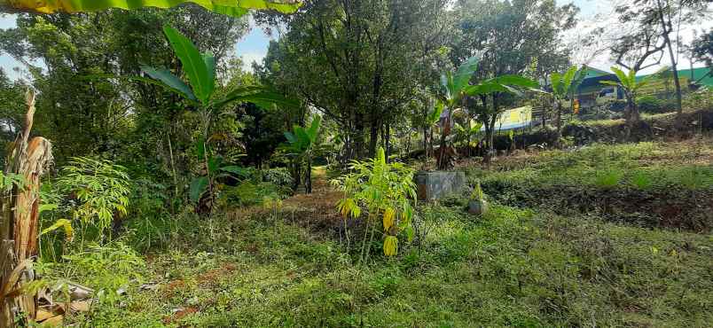 dijual tanah arcmanik