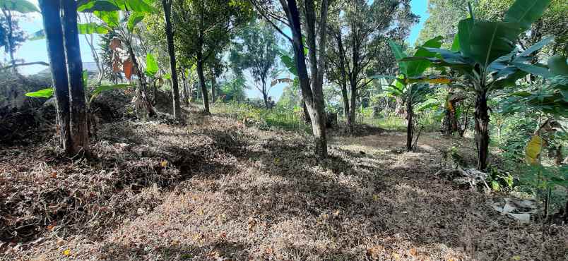 dijual tanah arcmanik