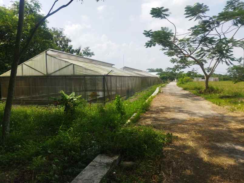 dijual tanah area wisata air janti klaten