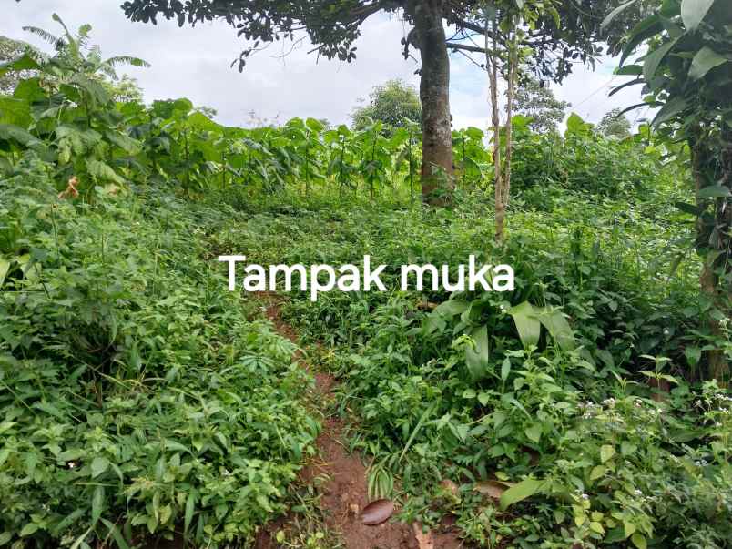 dijual tanah blok camara cigendel