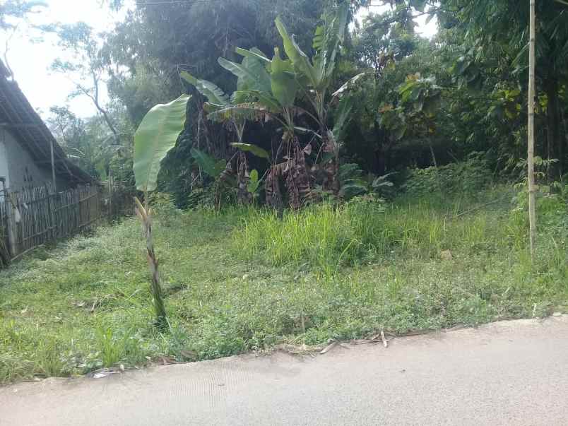 dijual tanah cijangkuriang hegarmanah