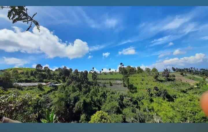 dijual tanah cisarua