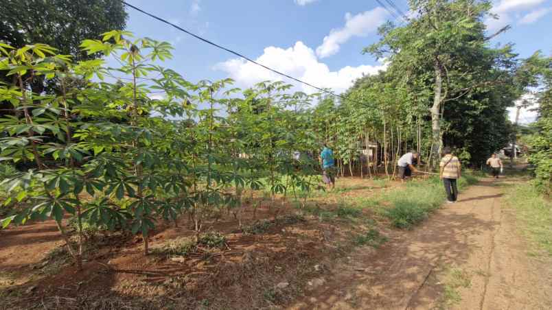 dijual tanah ciseeng bogor
