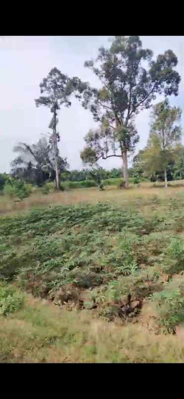 dijual tanah darat dan rata