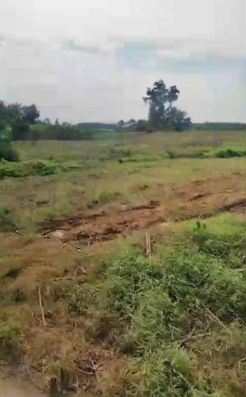 dijual tanah darat dan rata