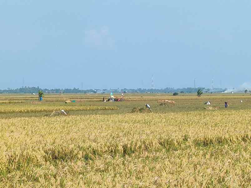 dijual tanah desa kemiri kec jayakerta