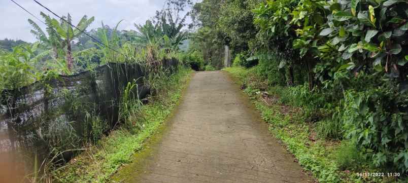 dijual tanah desa mekarwangi kecamatan