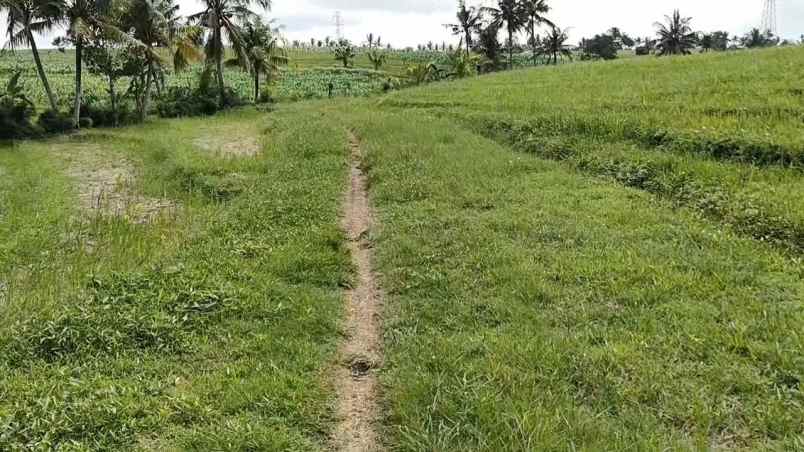 dijual tanah desa wisata tangguntiti