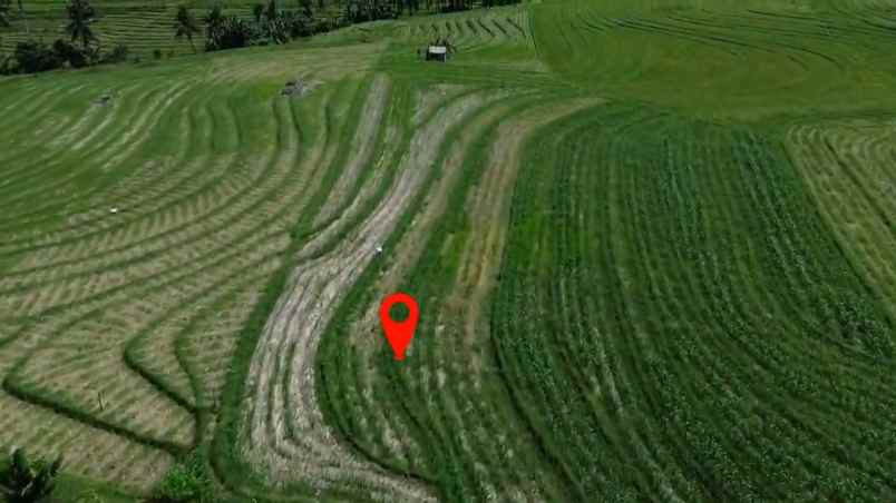dijual tanah desa wisata tangguntiti