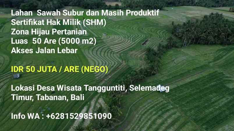 dijual tanah desa wisata tangguntiti