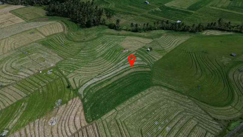 dijual tanah desa wisata tangguntiti