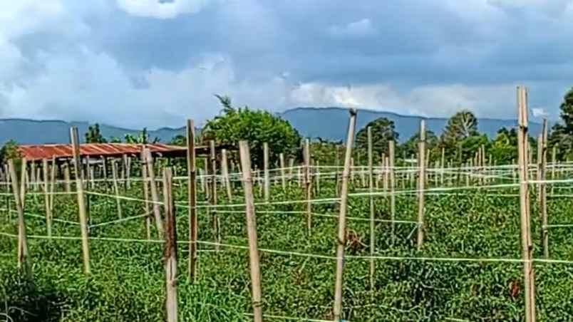 dijual tanah di dolat rayat berastagi area pemukiman