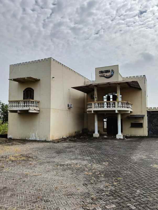 dijual tanah driyorejo