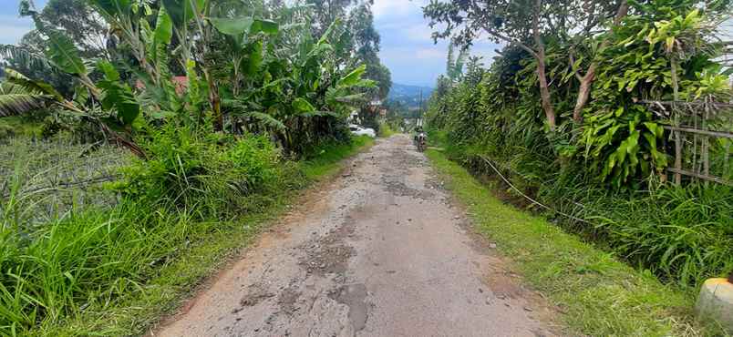 dijual tanah jalan barunagri