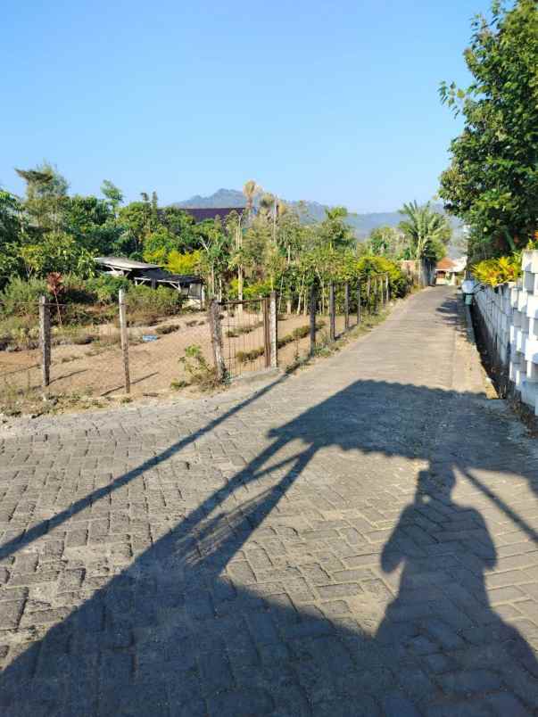 dijual tanah jalan kenanga