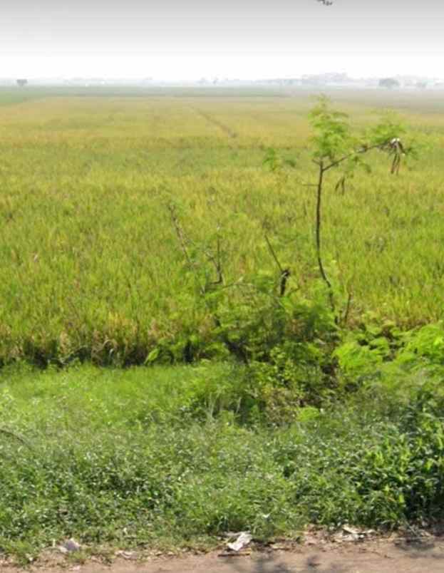 dijual tanah jalan raya patrol haurgeulis