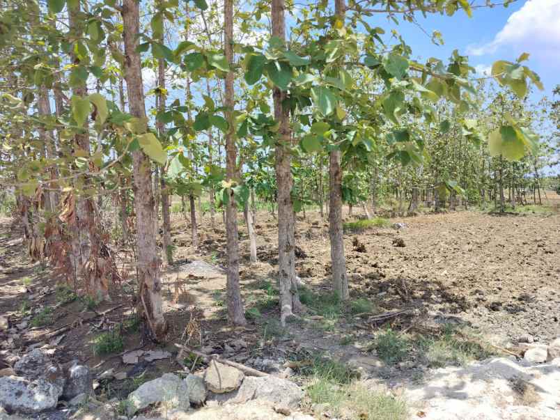 dijual tanah jalan slempit