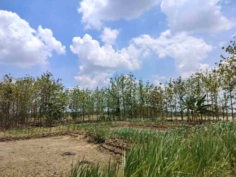 dijual tanah jalan slempit