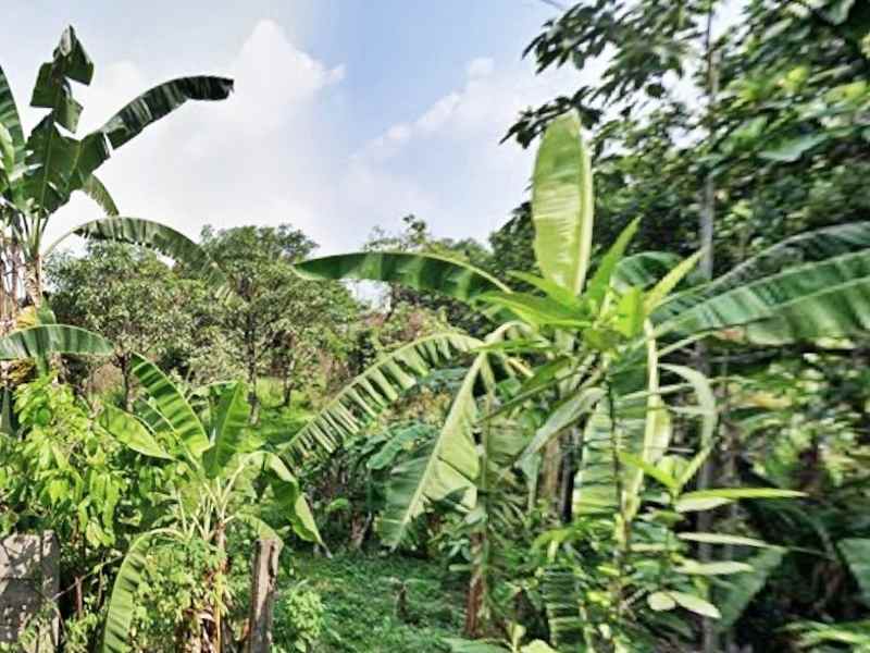 dijual tanah jati asih raya
