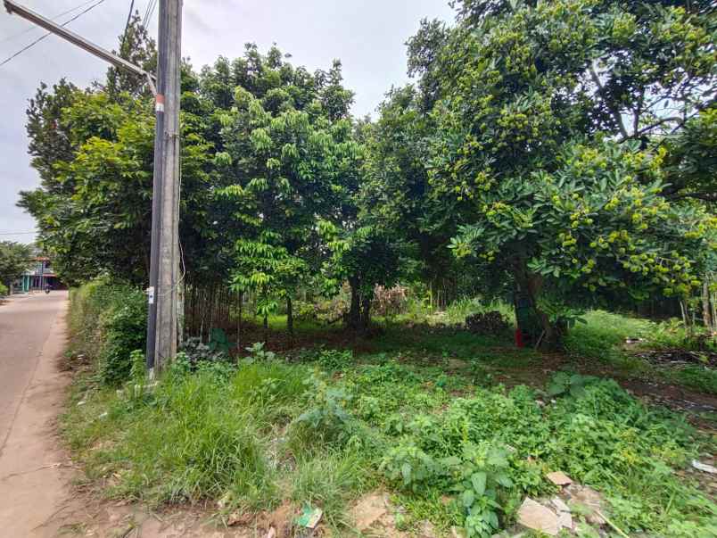 dijual tanah jl baitur rahman lubangbuaya