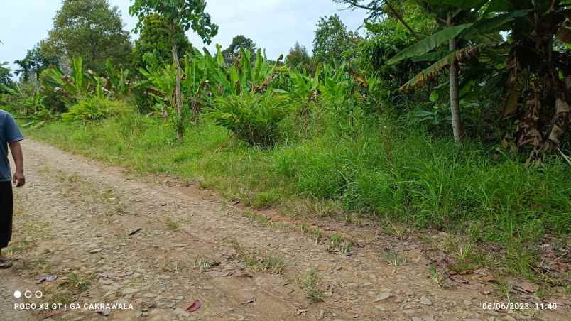 dijual tanah jl wan abdurrahman kedaung