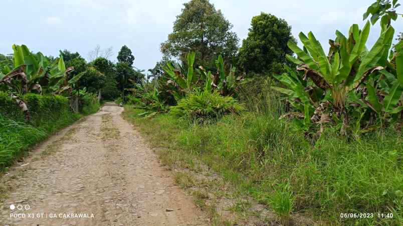 dijual tanah jl wan abdurrahman kedaung