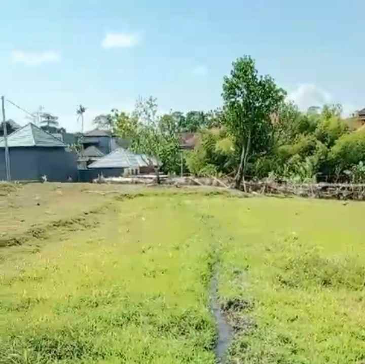 dijual tanah jln panji kebo iwo utara iii