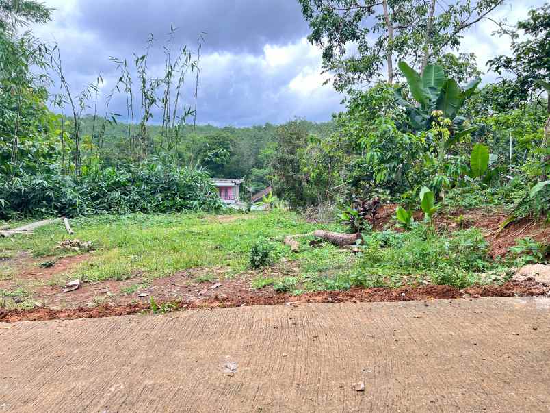 dijual tanah karangpandan karanganyar