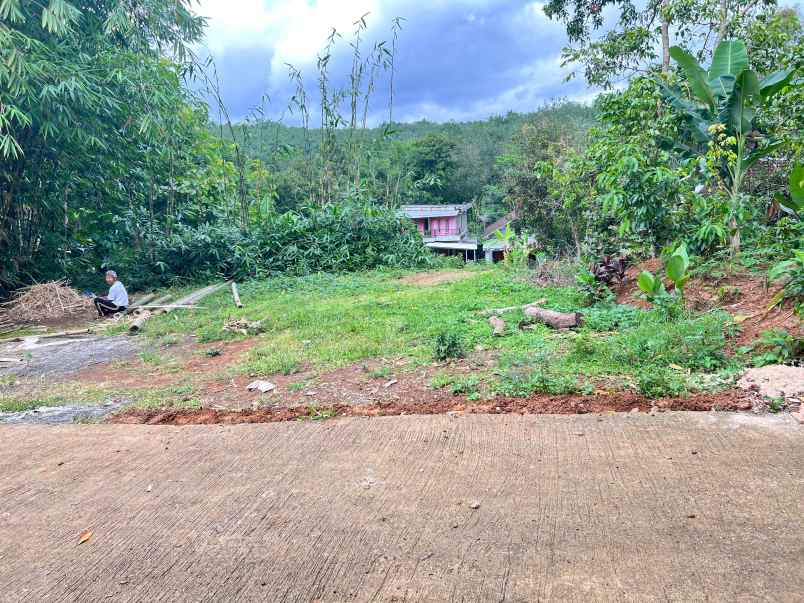 dijual tanah karangpandan karanganyar