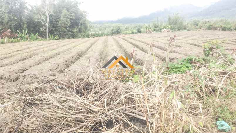 dijual tanah kosong tanjung barus berastagi