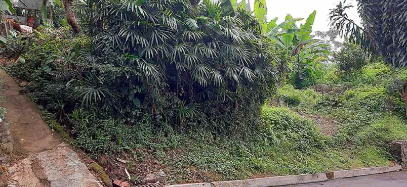 dijual tanah lembah pakar timur