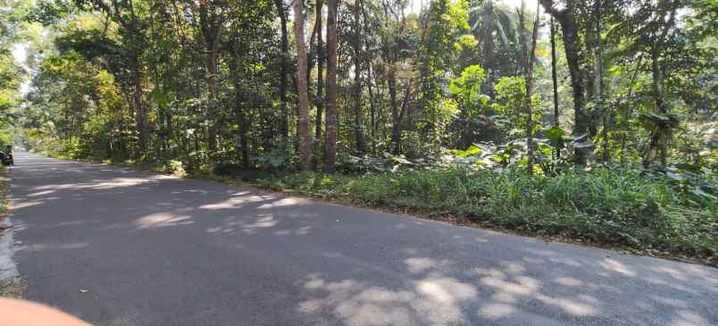 dijual tanah mangku jln raya prambanan glagaharjo