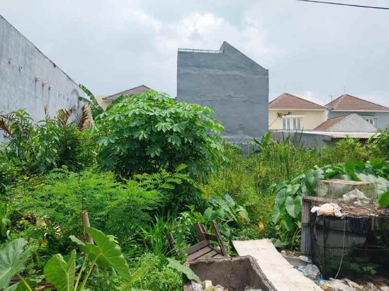 dijual tanah medokan sawah