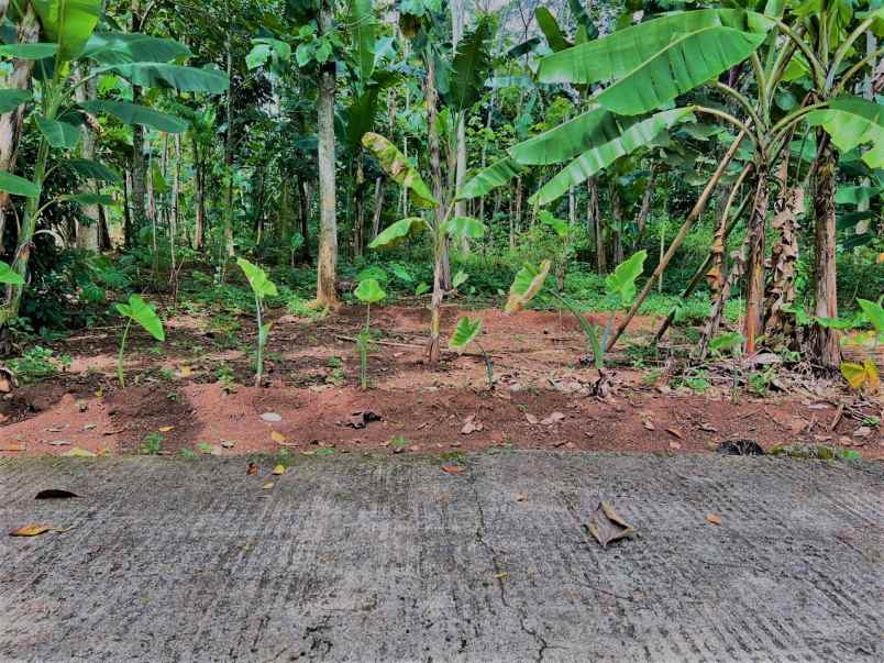 dijual tanah mojogedang karanganyar