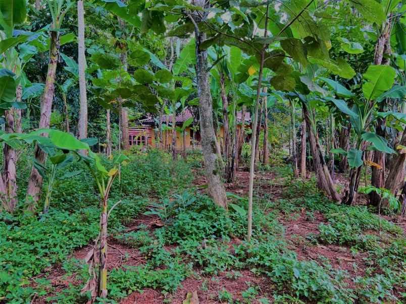 dijual tanah mojogedang karanganyar