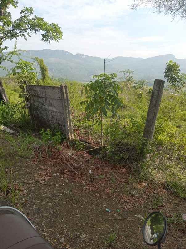 dijual tanah murah best view sukamakmur