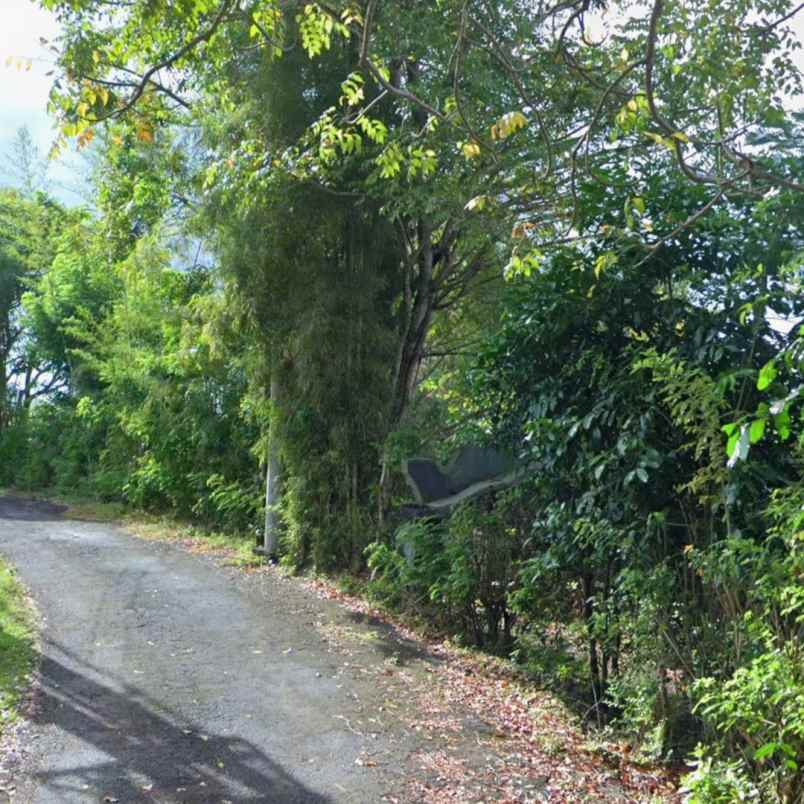 dijual tanah pantai pandawa