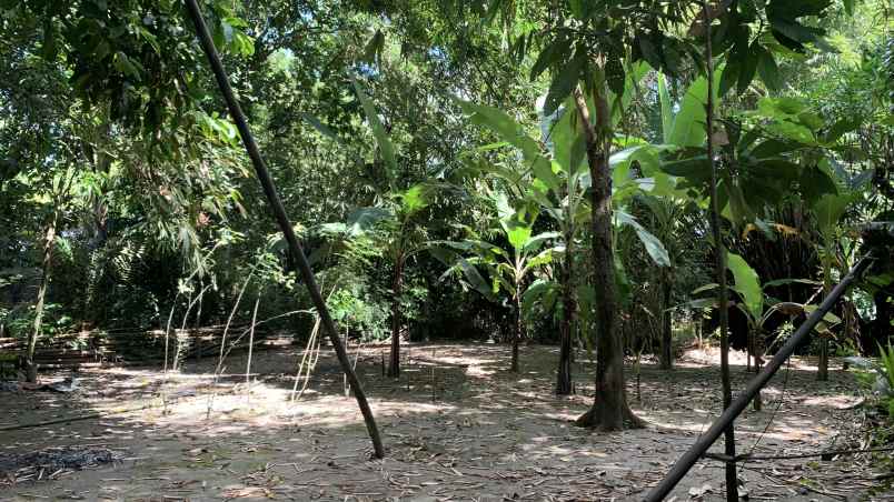 dijual tanah pekarangan strategis