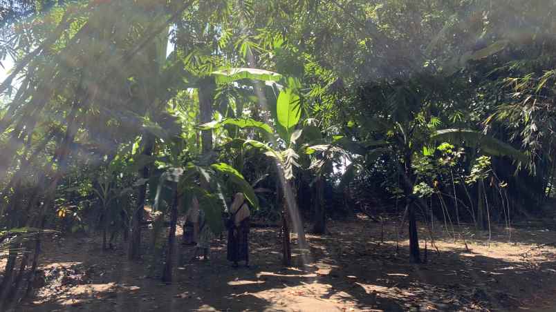 dijual tanah pekarangan strategis