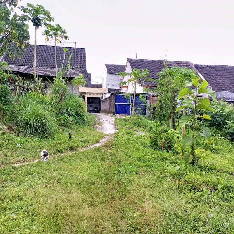 dijual tanah perumahan puri balecatur
