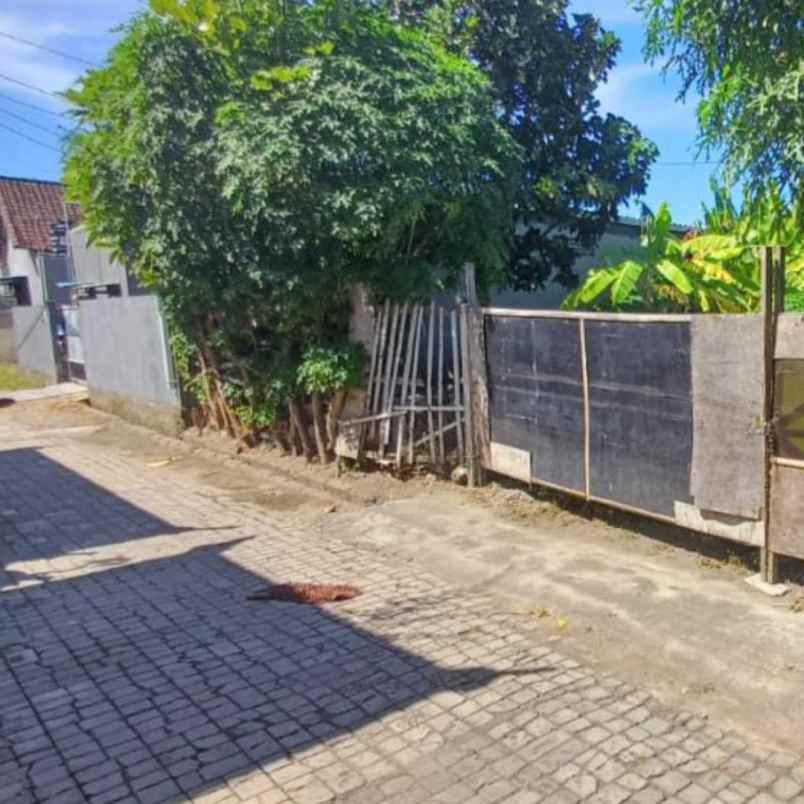 dijual tanah sedap malam