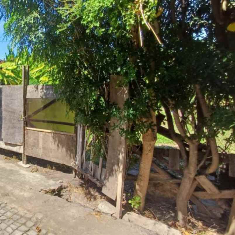 dijual tanah sedap malam